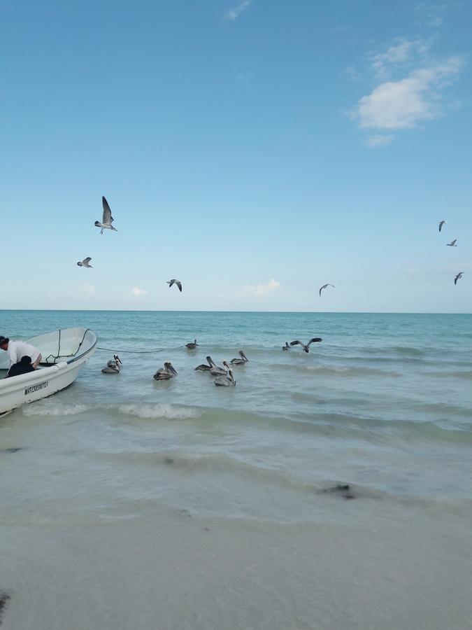 Hostel La Isla Holbox Luaran gambar